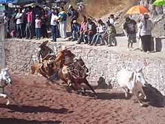 Charrería en Tequixquiac (4)