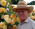 Davidaustinwiththegrahamthomasenglishrose-copy