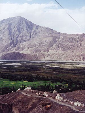 Archivo:Diskit gompa nubra2