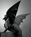Dragão (8554818027) Crop