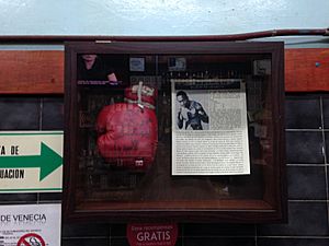 Archivo:El Dux de Venecia 01