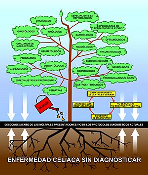 Archivo:Enfermedad Celíaca - árbol de complicaciones.2