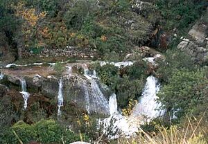 Archivo:FChelva AlcudiaVeo