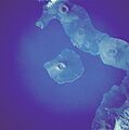 GalapagosIslands