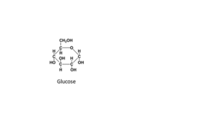 Archivo:Glycolysis