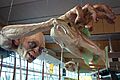 Gollum at Wellington Airport