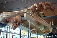 Archivo:Gollum at Wellington Airport