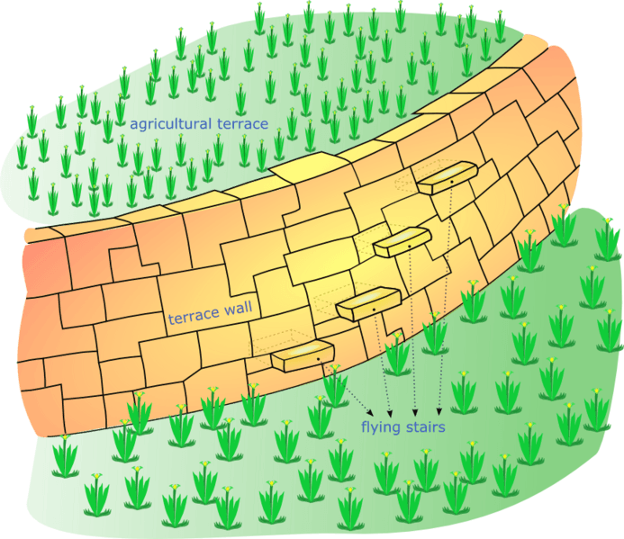 Inca terrace-en
