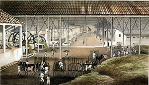 Archivo:Ingenio El Progreso 1857