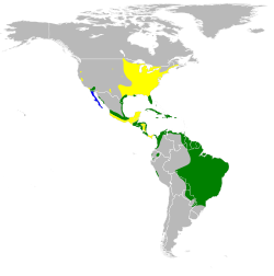 Distribución de Ixobrychus exilisAmarillo: durante tiempo de anidación, verde: todo el año, azul: durante el tiempo no reproductivo