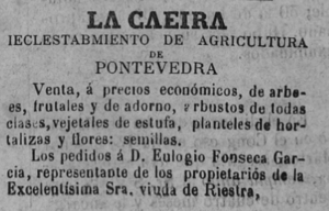 Archivo:La Caeira anuncio