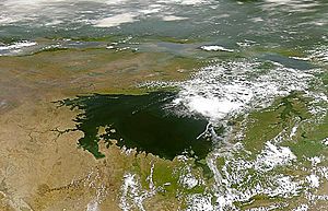 Archivo:Lake victoria NASA