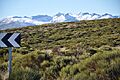 Macizo central de Gredos-AV-P-510