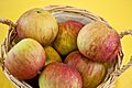 Malus Fiesta 4479