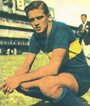 Archivo:Marzolini boca