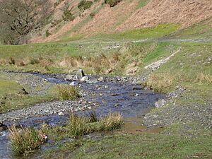 Archivo:Meander in Ashes Hollow