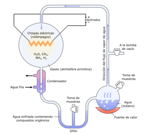 Archivo:Miller-Urey experiment-es