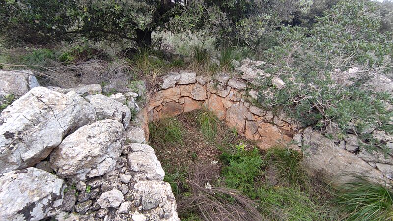 Naveta excavada de Canyamel