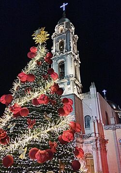 Navidad 2024.jpg