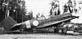 P-40M in Finnish markings in 1944