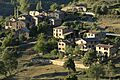 Pardinella