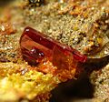 Phoenicochroite-212833