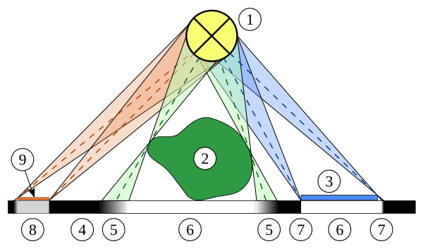 Archivo:Photogram Principle