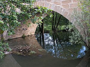 Archivo:Plasencia - rio Jerte y Puente Viejo 4