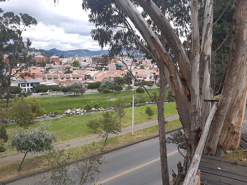 Río Yanuncay