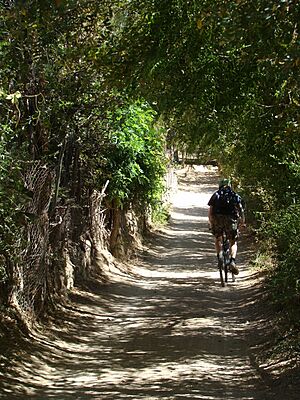 Archivo:Recorriendo el valle del Elqui en bicicleta