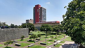Archivo:Rectorioa UNAMCU