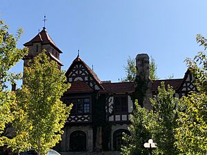 Archivo:Richthofen Castle (48854821156)