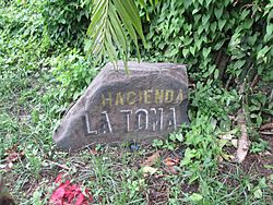 Archivo:Roca que identifica a la Hacienda La Toma