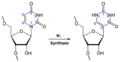 Synthesis of Pseudouridine