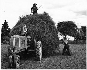 Archivo:Two men loading hay onto a rack drawn by tractor (20886793451)