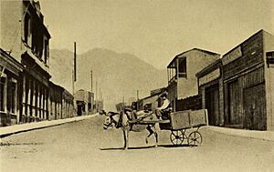 Archivo:Una calle de Antofagasta (1912)