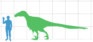 Archivo:Utahraptor scale
