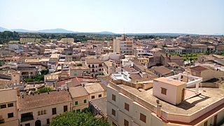 Vista de Santa Margalida3.jpg