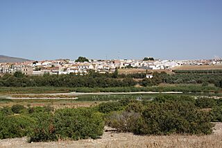 Vista general de Fuente Piedra.jpg