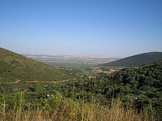 Vista hacia el sur desde puerto de Los Santos (Ciudad Real).jpg