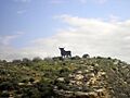 009.TORO DE OSBORNE (16458527918)