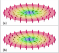 2skyrmions