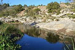 Aigua al riu Gorgos, terme de Dénia.JPG