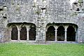 Bective Abbey 03