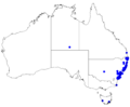Boronia pinnata DistMap92