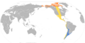 Calidris bairdii map