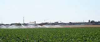 Campaspero desde sus campos.jpg