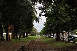 Capitán Bermúdez, Santa Fe.jpg