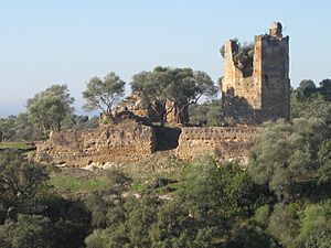 Archivo:Castillo Almenara Peñaflor