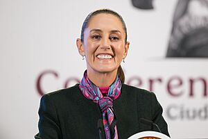 Archivo:Claudia Sheinbaum mañanera 11 octubre 2024